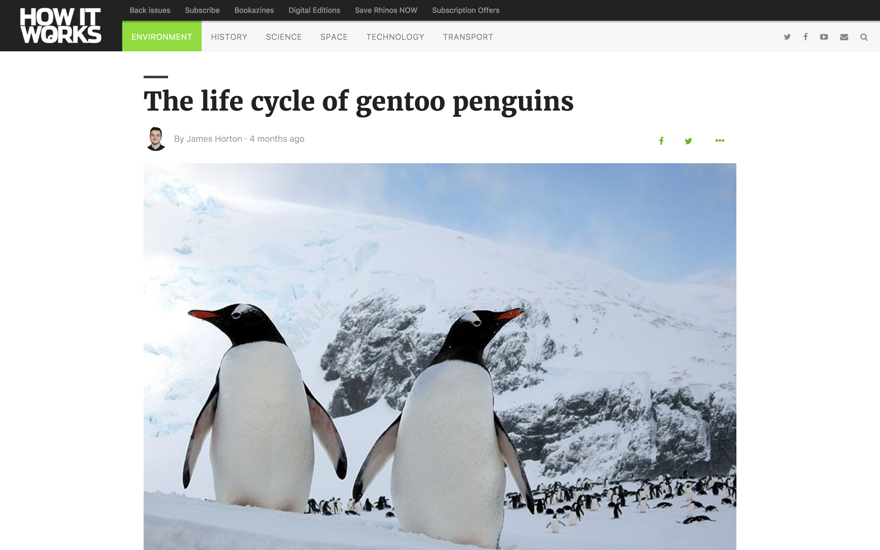 How It Works Screenshot 5